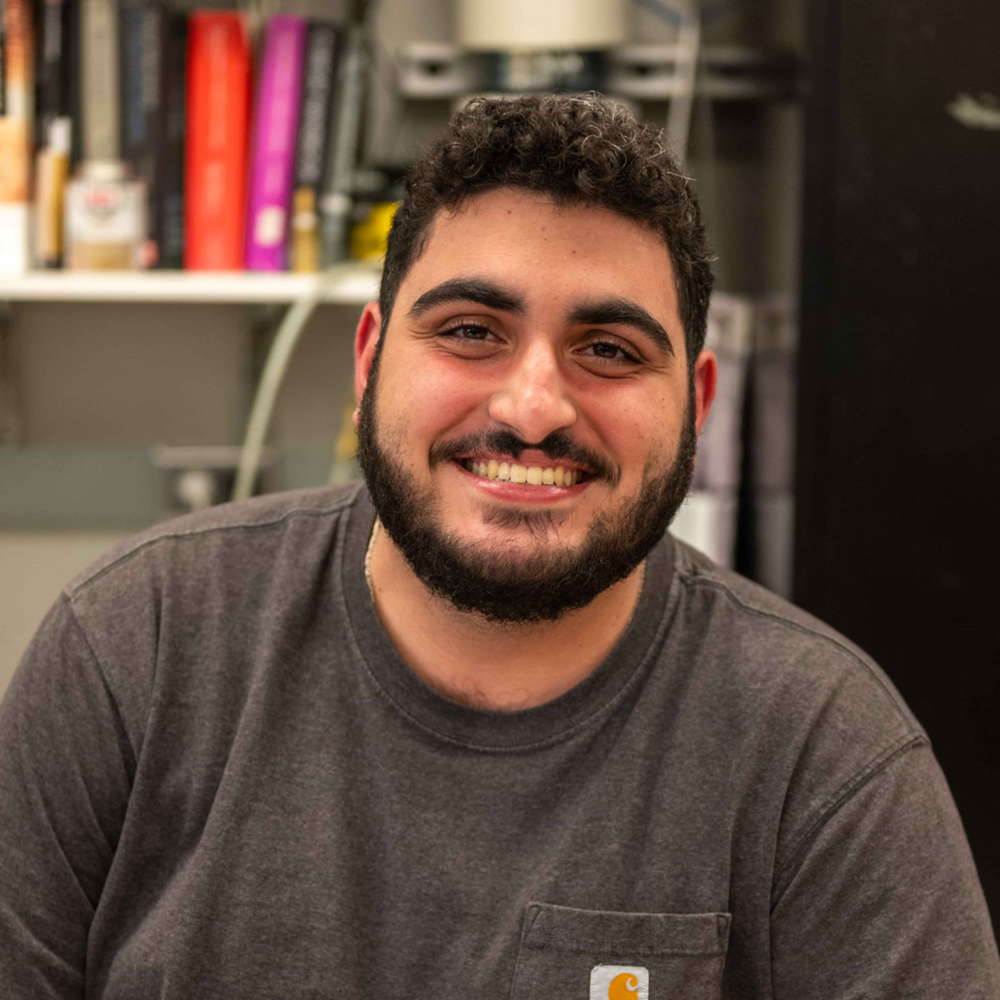 Ali Mosallaei